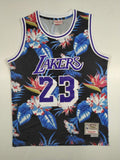 Men's Los Angeles Lakers LeBron James #23 Mitchell & Ness Hardwood Classics Retro Swingman Jersey