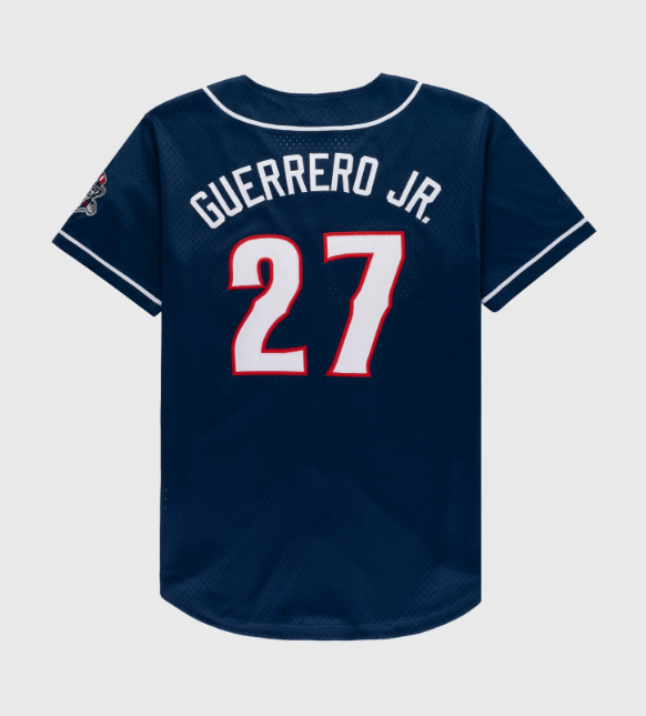 Men's Vladimir Guerrero Jr. #27 New Hampshire Fisher Cats Vintage Minor League Mesh Button-Up Jersey