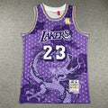 Men's LeBron James Los Angeles Lakers #23 Mitchell & Ness Year of the Dragon Swingman Jersey – Purple