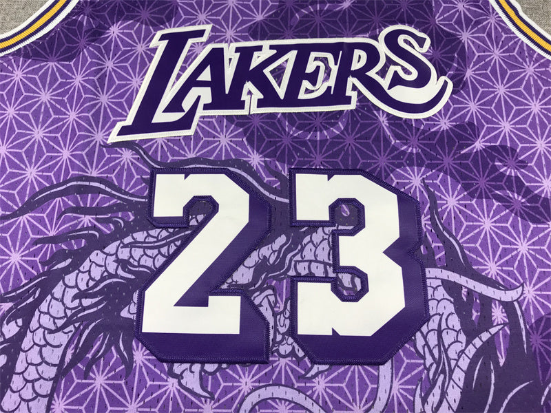 Men's LeBron James Los Angeles Lakers #23 Mitchell & Ness Year of the Dragon Swingman Jersey – Purple