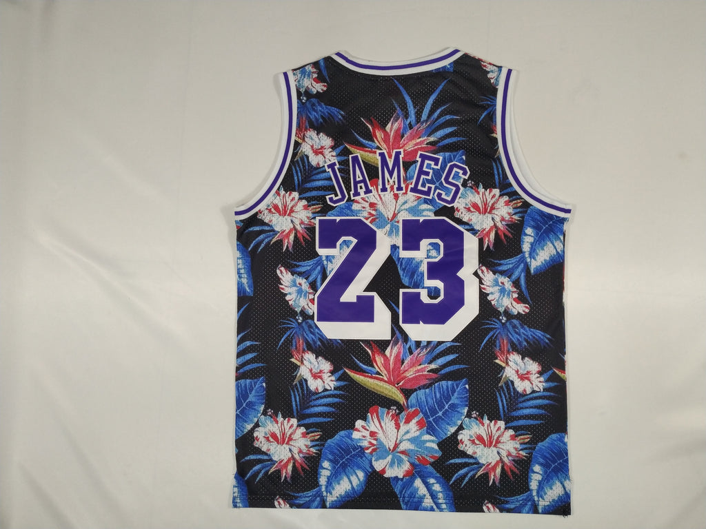 Men's Los Angeles Lakers LeBron James #23 Mitchell & Ness Hardwood Classics Swingman Jersey