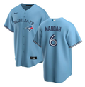 Men's Toronto Blue Jays Alek Manoah #6 Alternate 3 Jersey